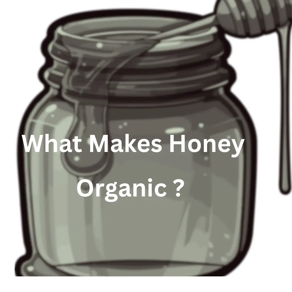 What Makes Honey Organic ? A Deep Dive into the Sweet Truth