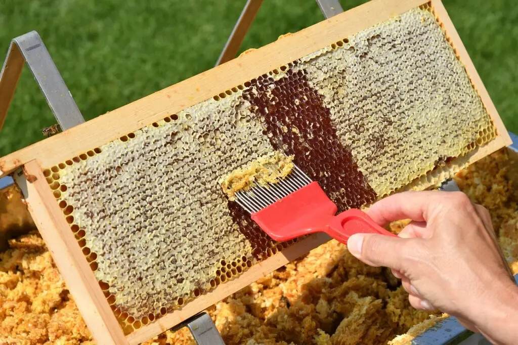 Honey extraction process